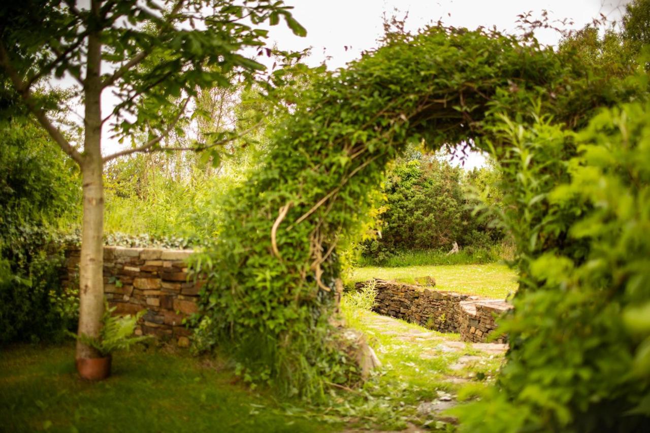Corcreggan Mill B&B & Self-Catered Accommodation Данфанахи Екстериор снимка